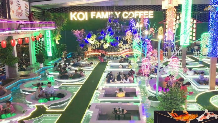 cafe cá koi family
